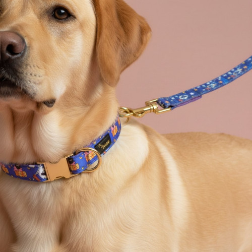 Collier Corsica Boom