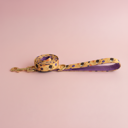 Laisse Corsica Ribellu