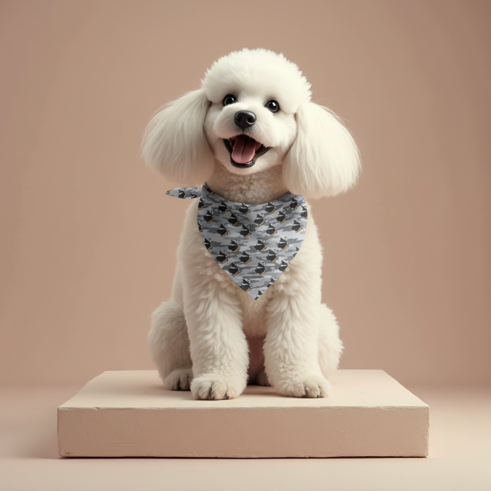 Bandana Corsica Tête de Maure