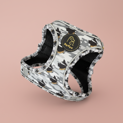 Harnais Tête de Maure