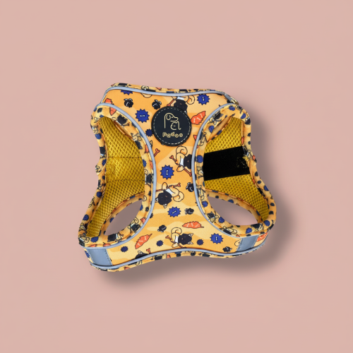 Harnais Corsica Ribellu