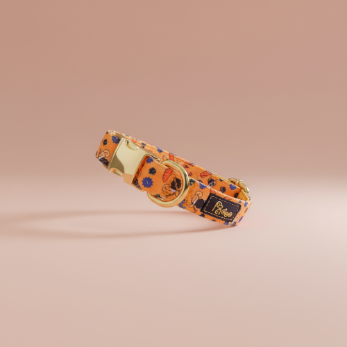 Collier Corsica Ribellu