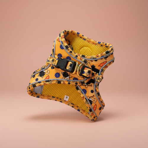 Harnais Corsica Ribellu